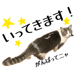 nanairo_20260314152838