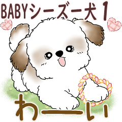 Baby Shih Tzu puppy 1