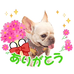 poco-pocota_20260316100526