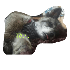 bazilstanp