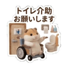 Mr. Hemper, please, wheelchair hamster