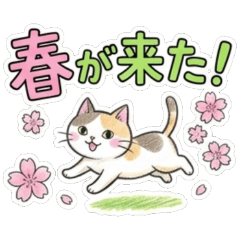 Daily Life of a Cute Hand-drawn Calico