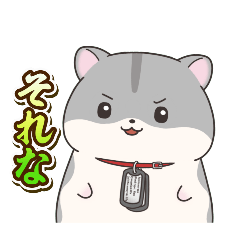 Gorineki_20260314202037