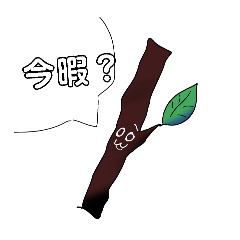 sirua_20260315192118