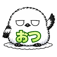 mikipokkle_20260316120738