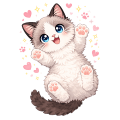 Sora-chan the Cute Ragdoll Cat Stickers