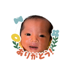 iii_lll_20260316125545