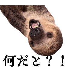 100Please_20260316125554