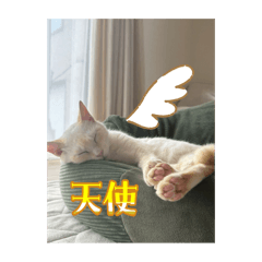 mizore_20260316131624