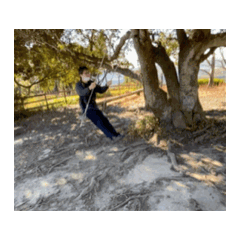 hideo_20260315012726