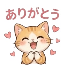 Cute Cat Stickers.2026