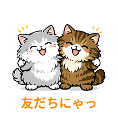 A cute, round cat friend