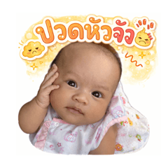 millionaire cat_20260316031302