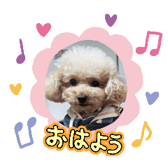 koto_20260316132254