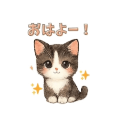 Calm & Cute Cat