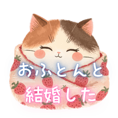 Cuddly Calico: Minimalist & Moody Cat