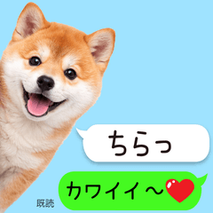 mameshiba fukidashi