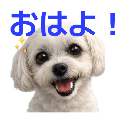 kotanco_20260315133344