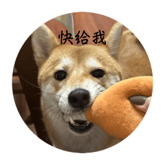 柴明星的私生活