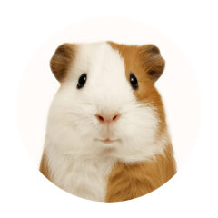 阿卿貼圖 · 咩嚕の可愛日常