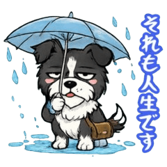 冷静すぎるボーダーコリーのシュール敬語