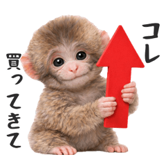 【家族連絡】小猿くん