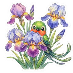Hummingbird and flower (no text)