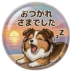 敬語＆タメ語毎日使えるシェルティ
