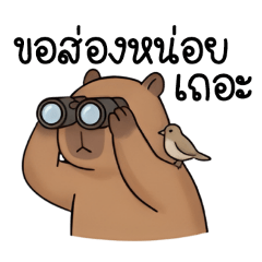 Chill Capybara ha ha