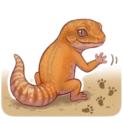 Days of a Leopard gecko 2