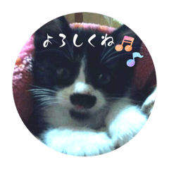kuranosuke_20260315180611