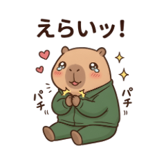 家人夫妻日常！運動服水豚