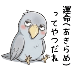 A Shoebill Who Wants to Give Up