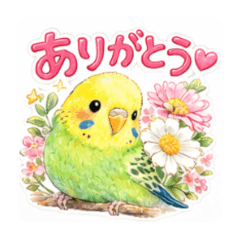 Budgie and flowers