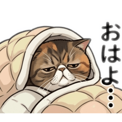 yaiyan_20260315204431