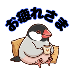 Cute Java Sparrow Chat Stickers