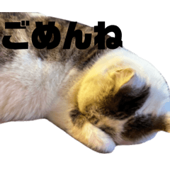 UtinoKabu