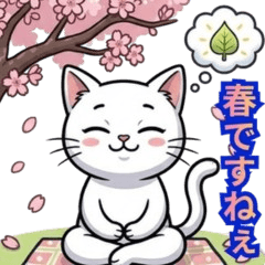 Funny Over-the-Top Cat: Spring