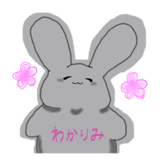 sekka mau_20260315235452