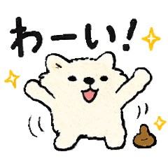 MAIHASEGAWA_20260316000355