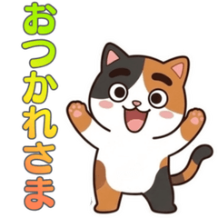 Cute Thick-Eyebrow Kitty: Everyday Use 2