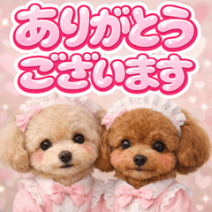 とびだす♡トイプードル♡cute♡トイプー - LINE スタンプ | LINE STORE とびだす♡トイプードル♡cute♡トイプー - LINE スタンプ | LINE STORE