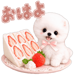 A Fluffy Pomeranians Greeting