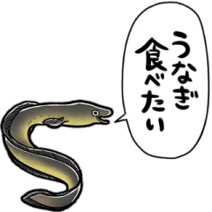 しゃべるニホンウナギ
