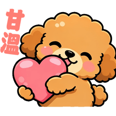 Super Cute Poodle Daily Life