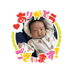 miya_20260316044046
