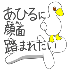 I want a duck to step on my face.