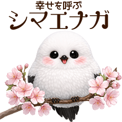 cute small bird shimaenaga