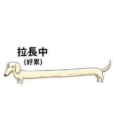 薪水小偷厭世臘腸