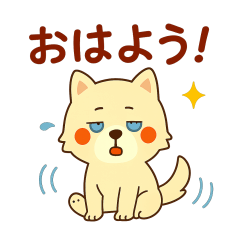 Lots of Hokkaido dogs